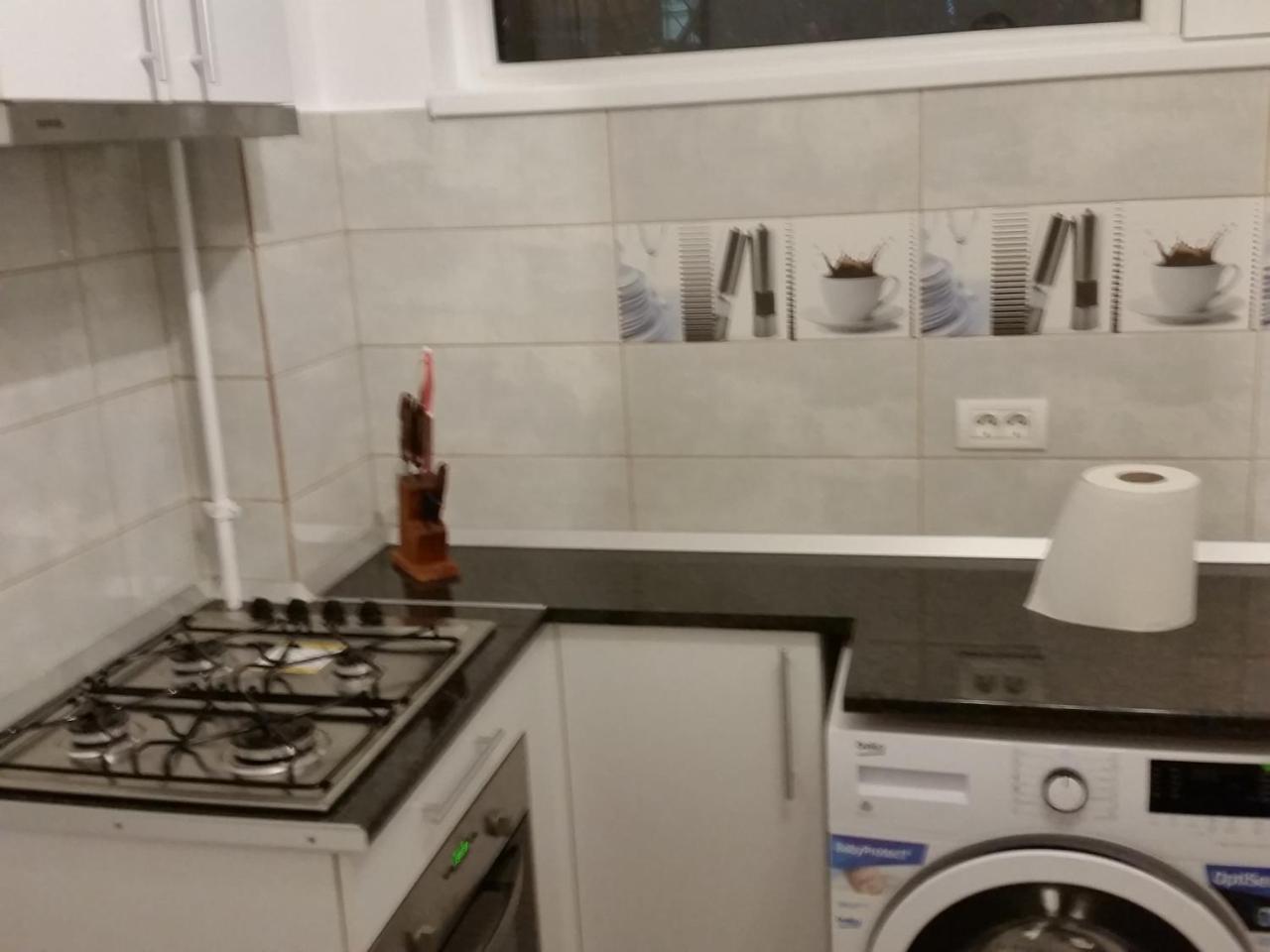 Grozavesti Apartment Near Politehnic Park بوخارست المظهر الخارجي الصورة