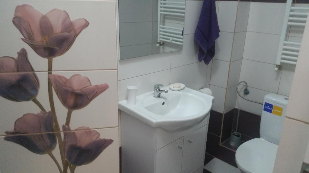 Grozavesti Apartment Near Politehnic Park بوخارست المظهر الخارجي الصورة